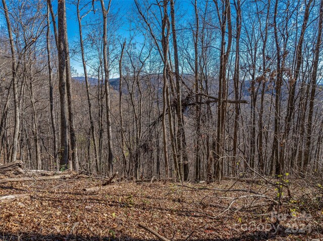 99999 Walnut Creek Rd, Marshall, NC 28753 - photo 5