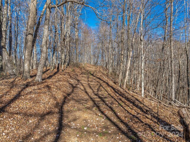 99999 Walnut Creek Rd, Marshall, NC 28753 - photo 6