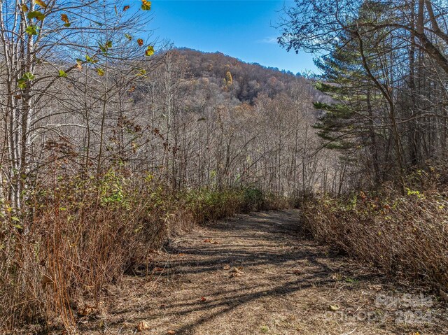 99999 Walnut Creek Rd, Marshall, NC 28753 - photo 9
