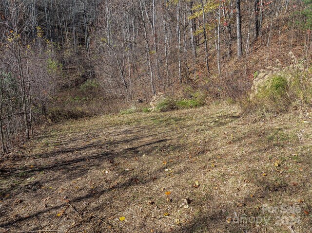 99999 Walnut Creek Rd, Marshall, NC 28753 - photo 10