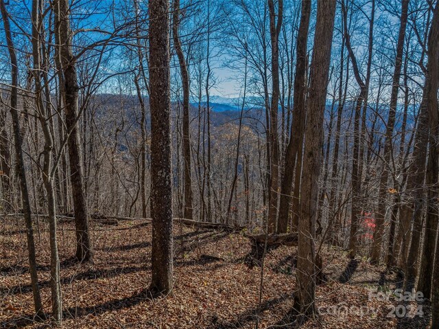 99999 Walnut Creek Rd, Marshall, NC 28753 - photo 11