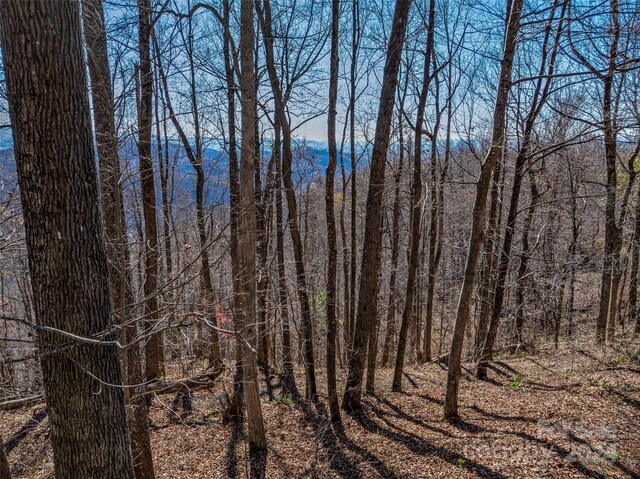 99999 Walnut Creek Rd, Marshall, NC 28753 - photo 12