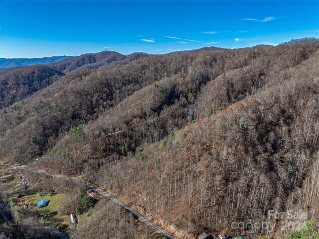 99999 Walnut Creek Rd, Marshall, NC 28753 - photo 13