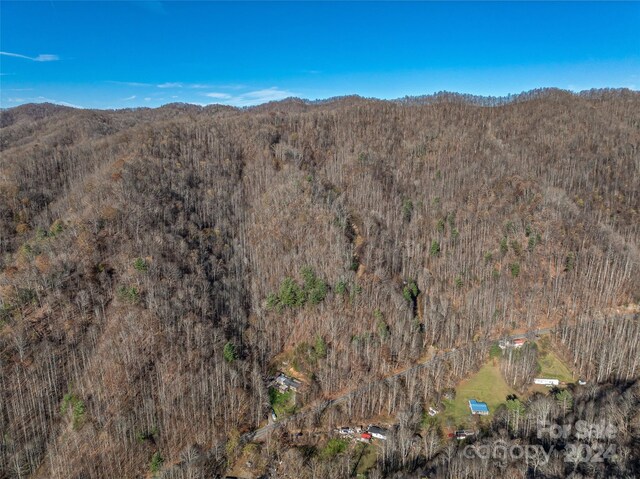 99999 Walnut Creek Rd, Marshall, NC 28753 - photo 14