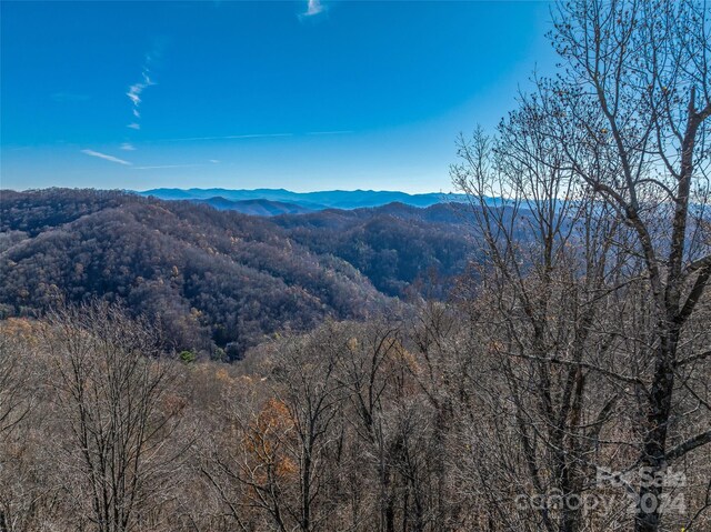 99999 Walnut Creek Rd, Marshall, NC 28753 - photo 16