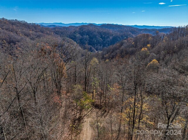 99999 Walnut Creek Rd, Marshall, NC 28753 - photo 17
