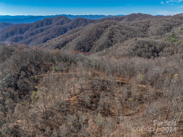 99999 Walnut Creek Rd, Marshall, NC 28753 - photo 18