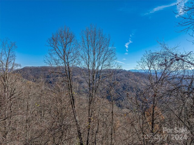 99999 Walnut Creek Rd, Marshall, NC 28753 - photo 19
