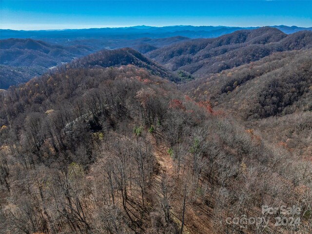 99999 Walnut Creek Rd, Marshall, NC 28753 - photo 20