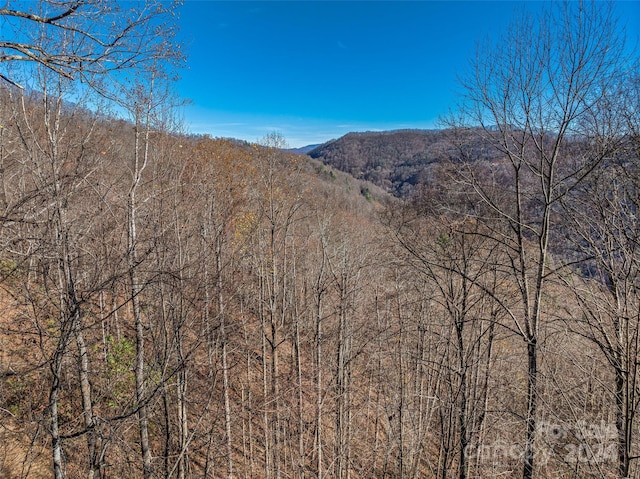 99999 Walnut Creek Rd, Marshall, NC 28753 - photo 21