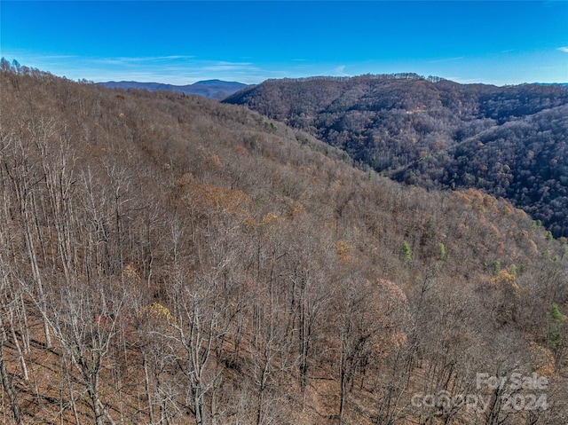 99999 Walnut Creek Rd, Marshall, NC 28753 - photo 22