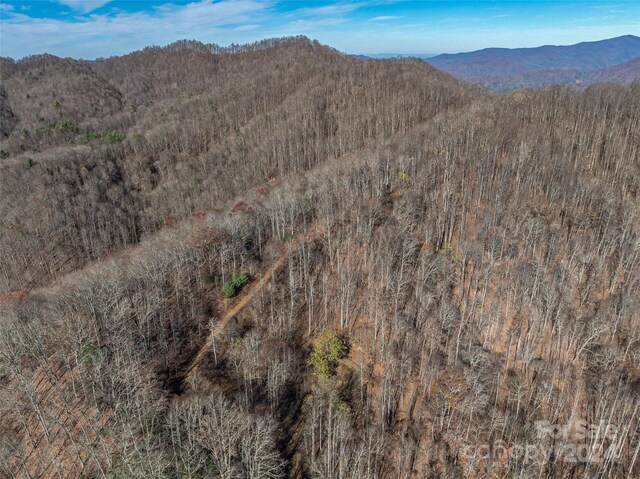 99999 Walnut Creek Rd, Marshall, NC 28753 - photo 23