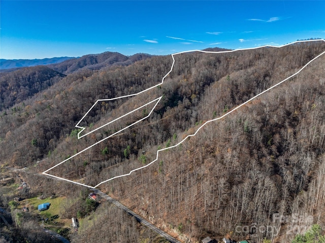 99999 Walnut Creek Rd, Marshall, NC 28753 - photo 24