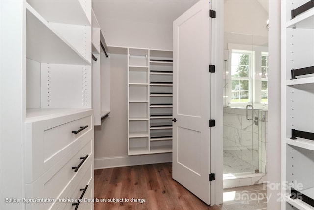 walk in closet featuring dark wood finished floors