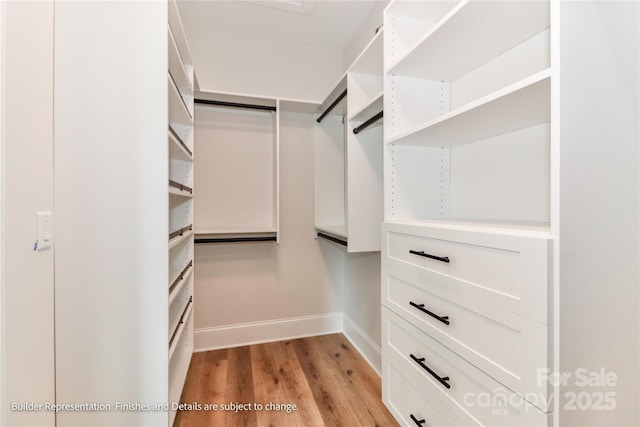 spacious closet featuring light wood-style floors