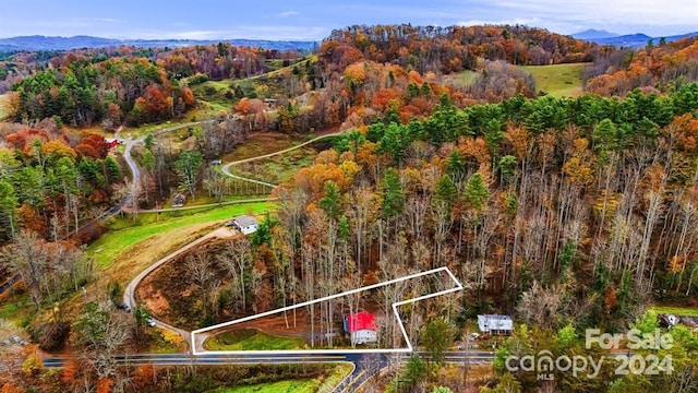 birds eye view of property featuring a mountain view