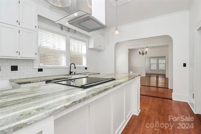 kitchen featuring dark wood-type flooring, pendant lighting, decorative backsplash, white cabinets, and island range hood