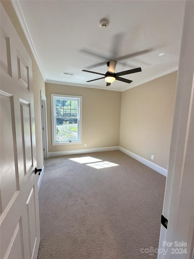 carpeted spare room featuring ceiling fan and ornamental molding