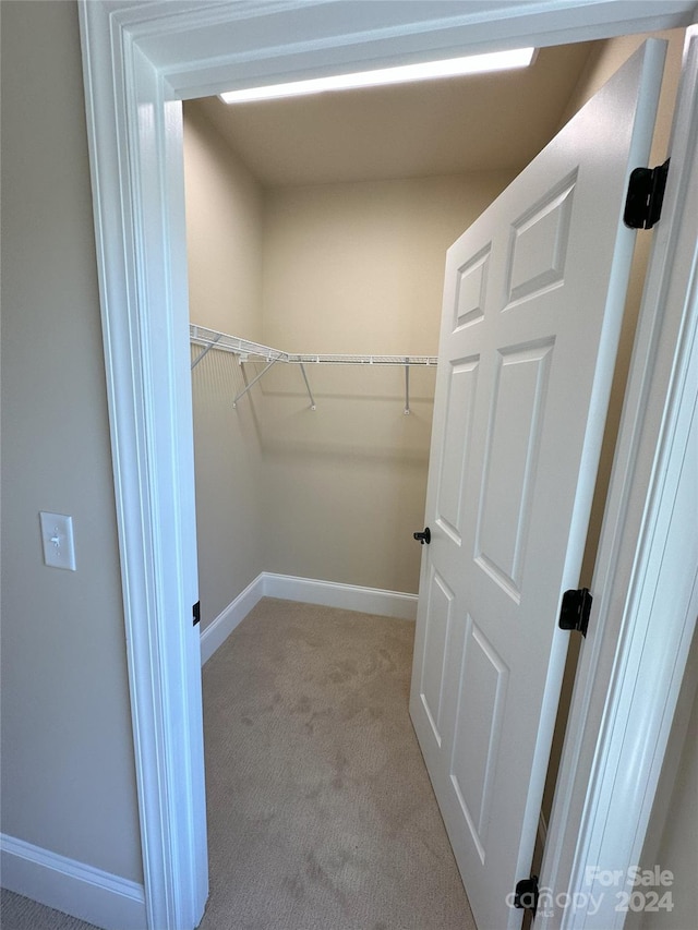 spacious closet with light colored carpet