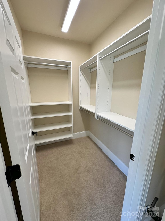 walk in closet featuring light colored carpet