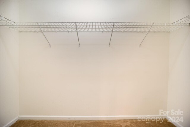 105 Ranlo Ave, Gastonia, NC 28054 - walk in closet with carpet floors
