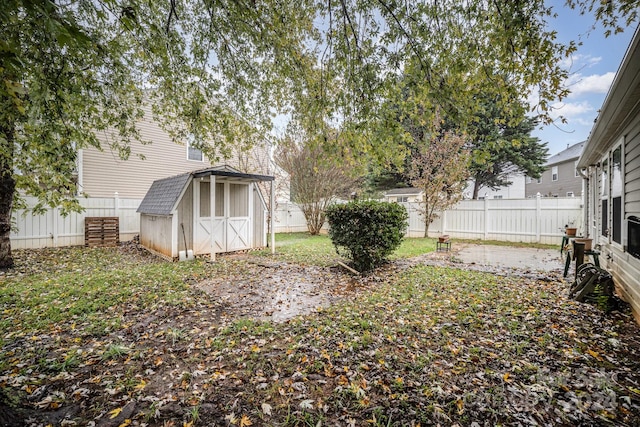 view of yard with a storage shed