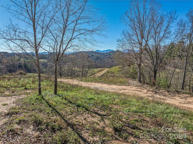 99999 Grandview Rd, Alexander, NC 28701 - photo 2