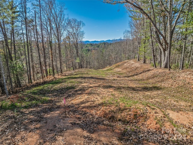 Listing photo 3 for 99999 Grandview Rd, Alexander NC 28701