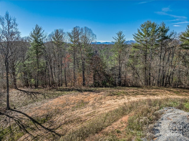 99999 Grandview Rd, Alexander, NC 28701 - photo 5
