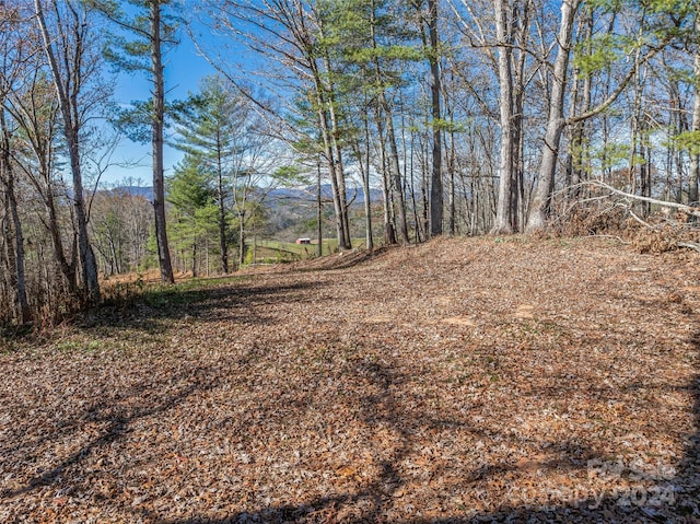 99999 Grandview Rd, Alexander, NC 28701 - photo 6