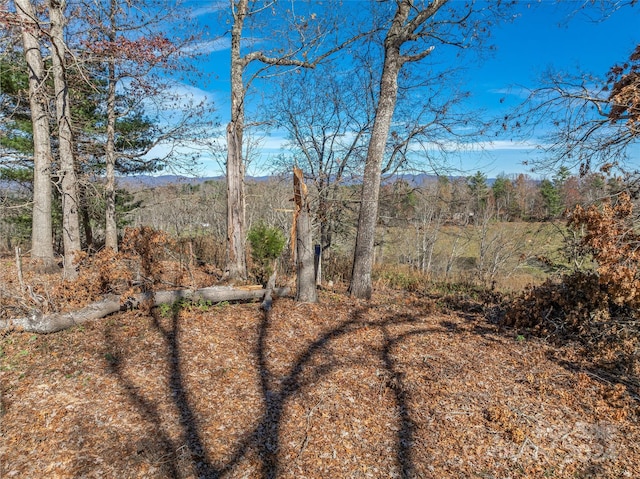 99999 Grandview Rd, Alexander, NC 28701 - photo 7