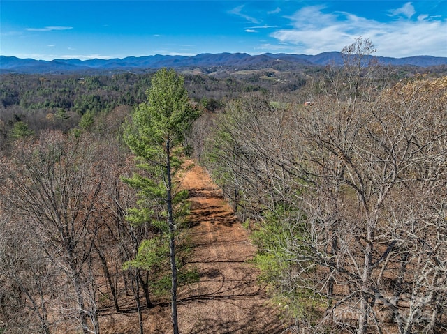 99999 Grandview Rd, Alexander, NC 28701 - photo 8
