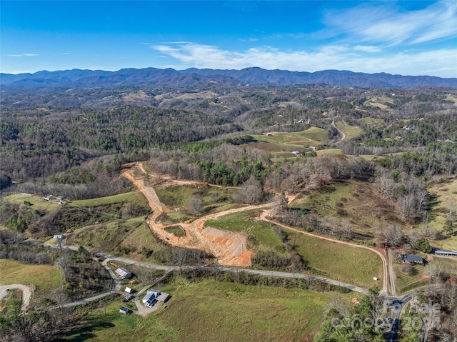 99999 Grandview Rd, Alexander, NC 28701 - photo 9