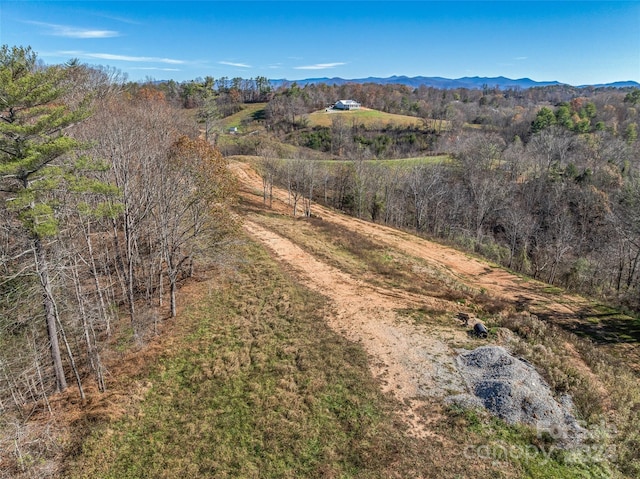 99999 Grandview Rd, Alexander, NC 28701 - photo 10