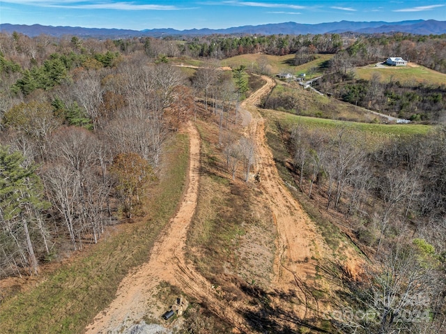 99999 Grandview Rd, Alexander, NC 28701 - photo 11