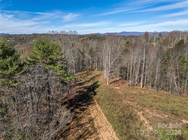 99999 Grandview Rd, Alexander, NC 28701 - photo 12