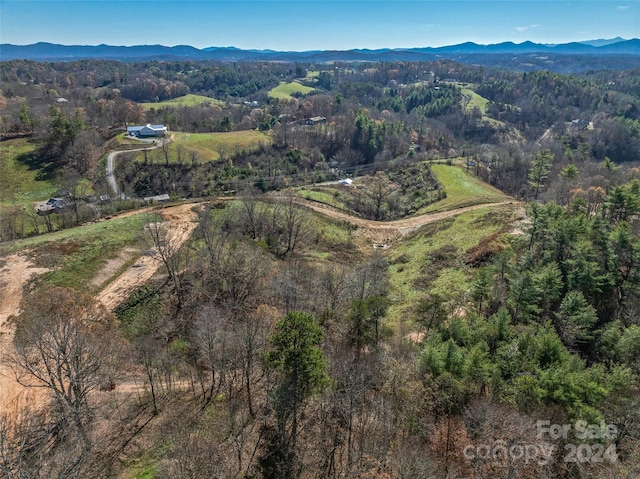 99999 Grandview Rd, Alexander, NC 28701 - photo 13