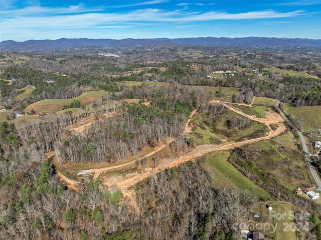 99999 Grandview Rd, Alexander, NC 28701 - photo 14