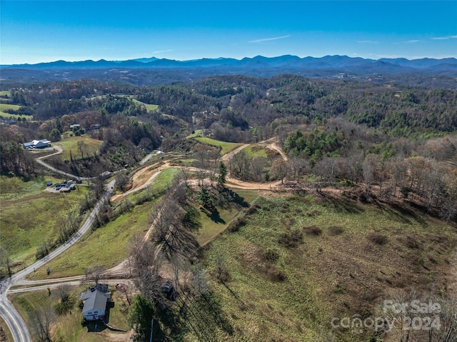 99999 Grandview Rd, Alexander, NC 28701 - photo 15