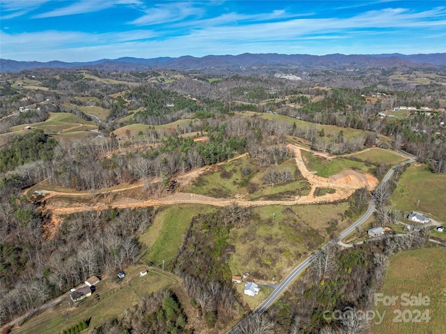 99999 Grandview Rd, Alexander, NC 28701 - photo 16