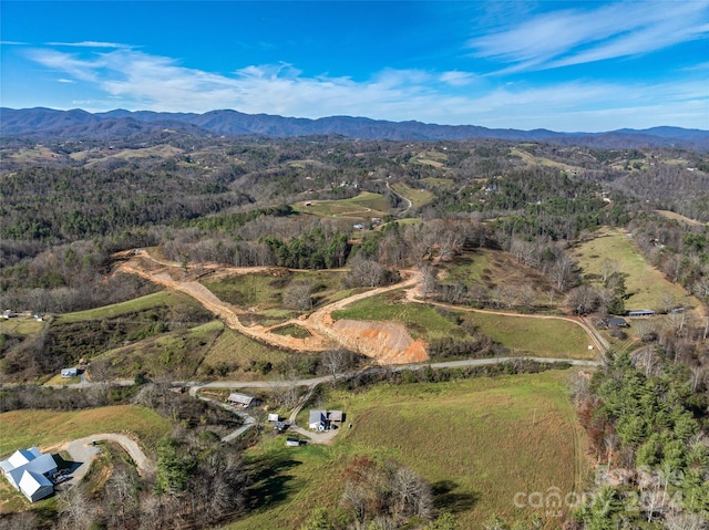 99999 Grandview Rd, Alexander, NC 28701 - photo 17