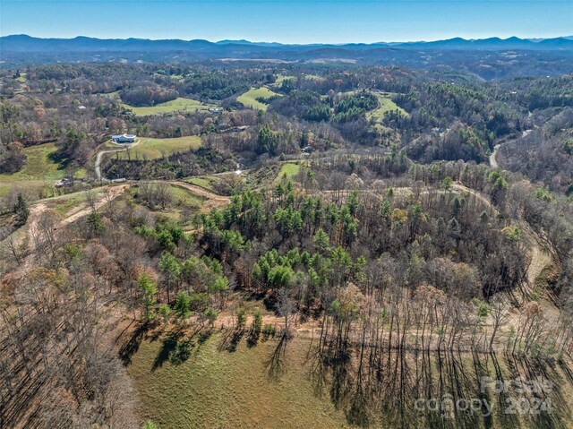 99999 Grandview Rd, Alexander, NC 28701 - photo 18
