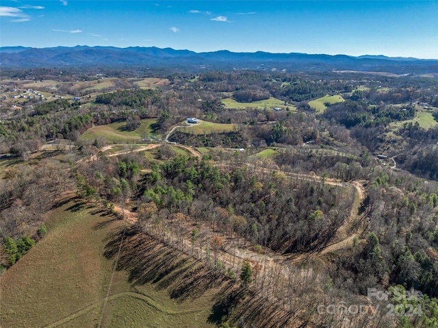 99999 Grandview Rd, Alexander, NC 28701 - photo 19