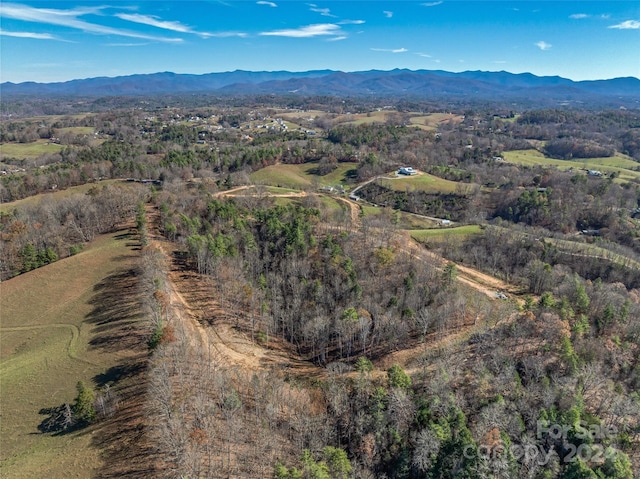 99999 Grandview Rd, Alexander, NC 28701 - photo 20