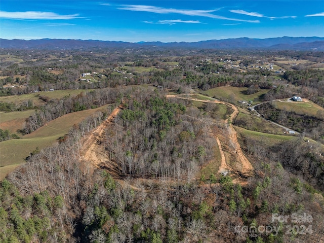 99999 Grandview Rd, Alexander, NC 28701 - photo 21