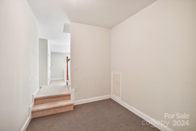 staircase featuring carpet floors