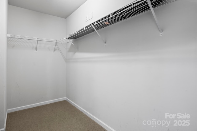 walk in closet with carpet