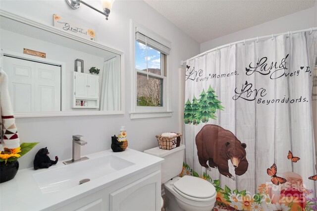 17 Dream Meadow Ln, Maggie Valley, NC 28751 - bathroom featuring a shower with shower curtain, a textured ceiling, toilet, and vanity