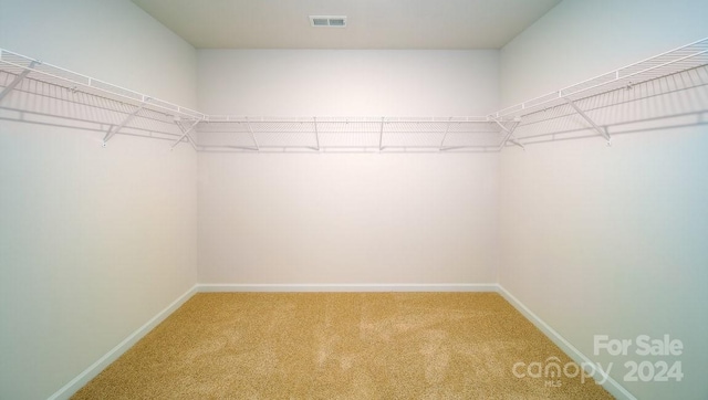 walk in closet with carpet floors