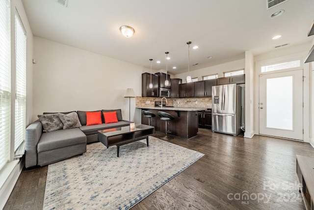 living room featuring dark wood-type flooring and sink